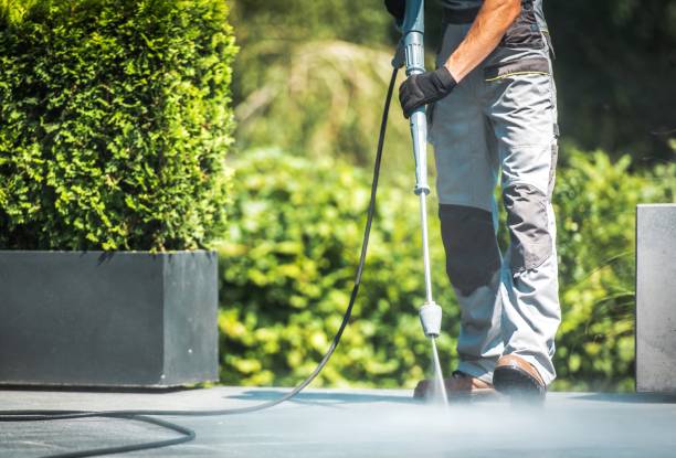 Best Roof Cleaning and Mildew Removal in North Utica, IL